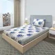 Blue__Bedsheet guru